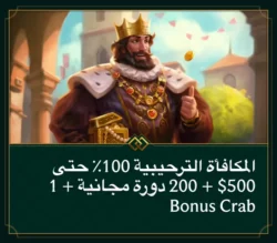 Casinia Casino Welcome Bonus Ar